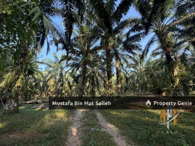 Property for sale in Kampung Batu 10, Terap