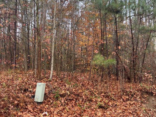 Property for sale in Charlotte Hall, Maryland