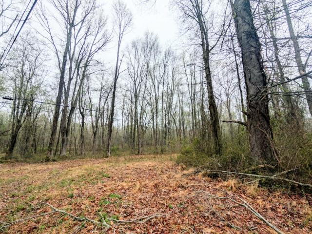 Land for sale in Charlotte Hall, Maryland
