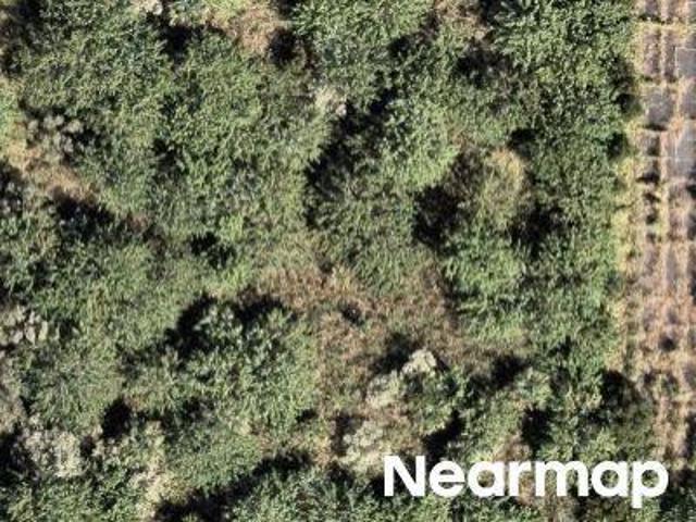 Land for sale in Palm Bay, Florida