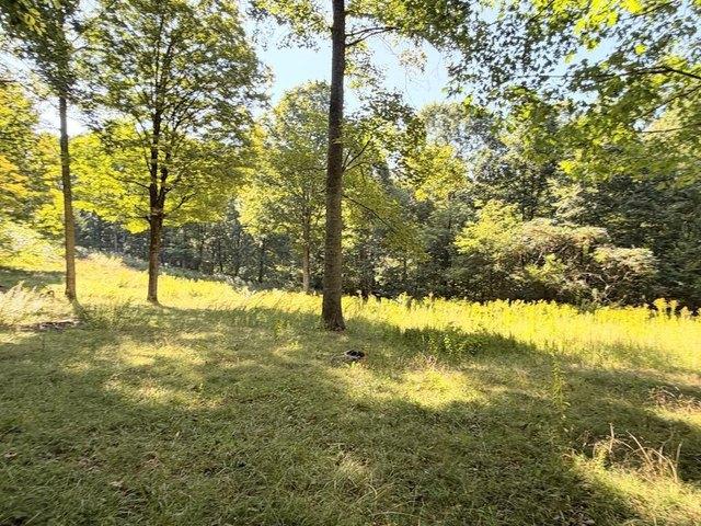 Land for sale in Sandstone, Summers County