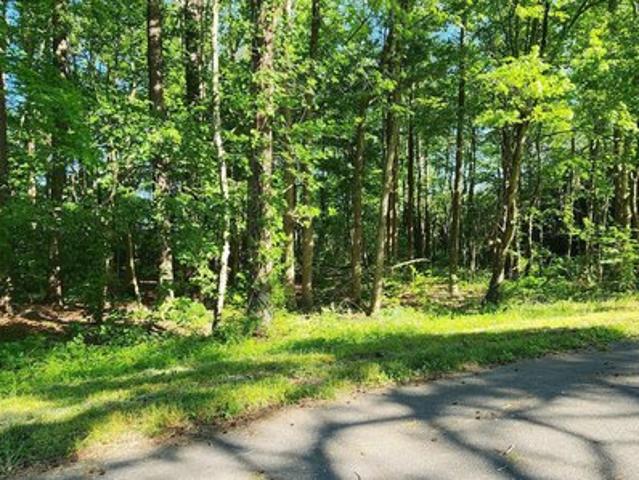 Land for sale in Snow Hill, Maryland