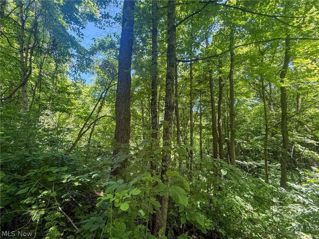 Land for sale in Stockport, Ohio