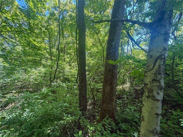 Farm for sale in Stockport, Ohio