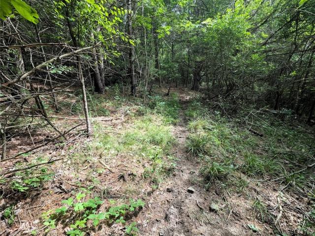 Land for sale in Dansville, New York