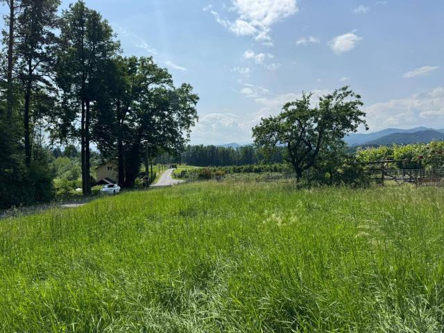 Immobilie kaufen in Gratkorn, Steiermark