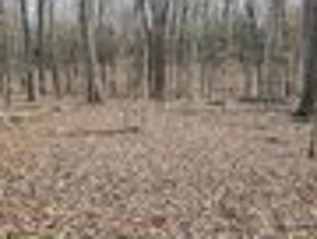 Land for sale in Freetown, Indiana