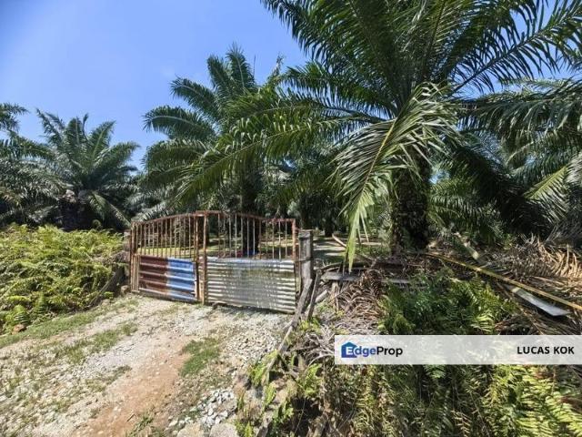 Shop for sale in Kelanang, Selangor