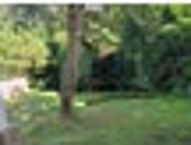 Apartment for rent in Kelburn, Wellington