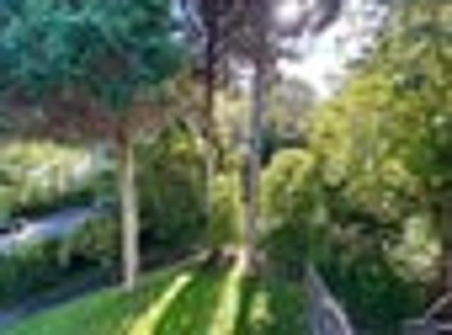 Apartment for rent in Matata, Wellington