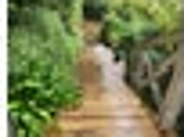 Apartment for rent in Kelburn, Wellington