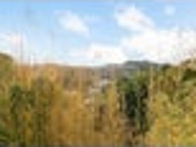 Apartment for rent in Kelburn, Wellington