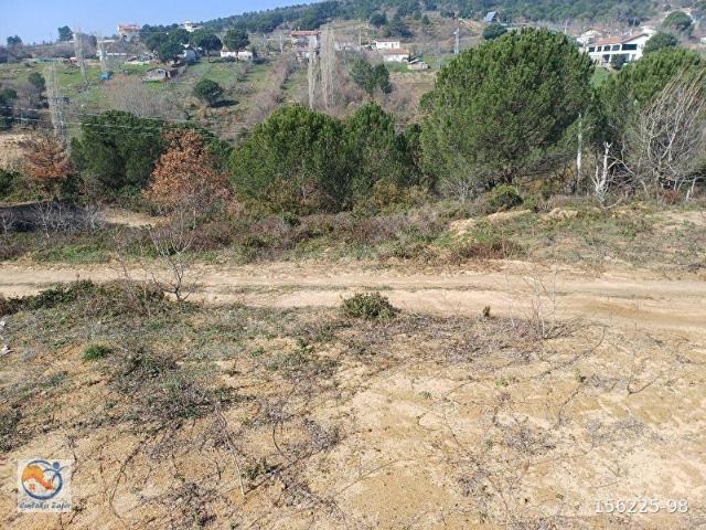 Armutlu, Yalova içerisinde satılık mülk