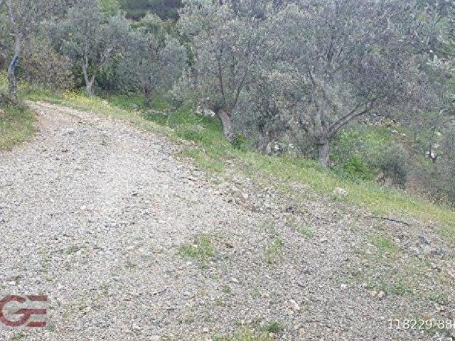 Burhaniye, Balikesir içerisinde satılık mülk