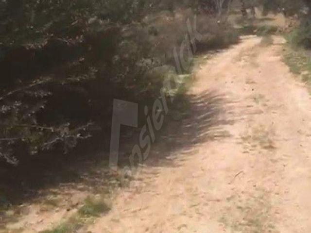 Burhaniye, Balikesir içerisinde satılık mülk