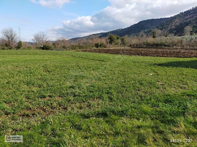 Çinarcik, Yalova içerisinde satılık Arsa