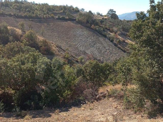 Bergama, İzmir içerisinde satılık Arsa
