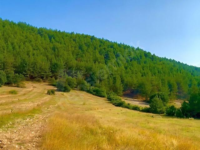 Keles, Bursa içerisinde satılık Arsa