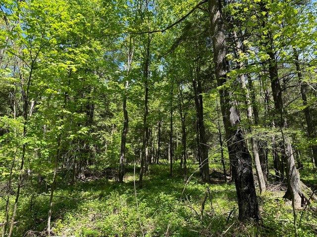 Land for sale in Marathon, Wisconsin