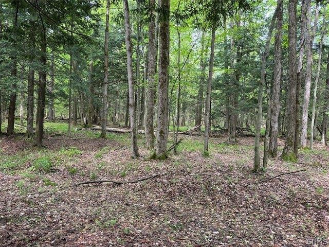 Land for sale in Dayton, New York