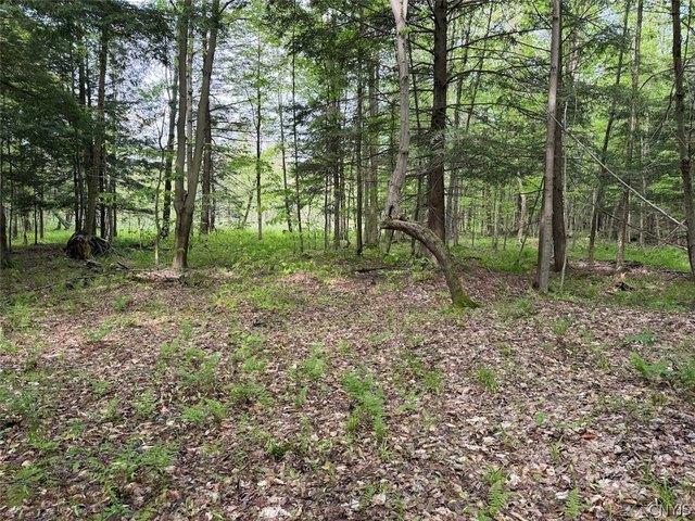 Land for sale in Dayton, New York