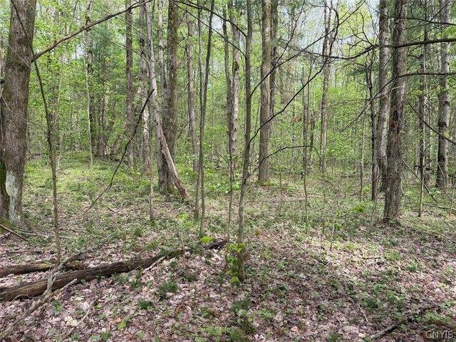 Land for sale in Dayton, New York