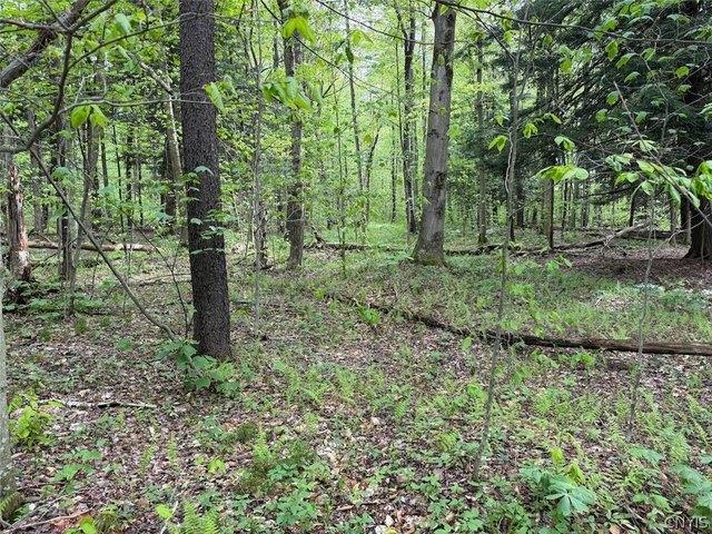 Land for sale in Dayton, New York