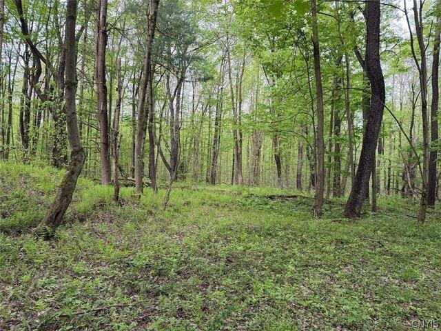 Land for sale in Dayton, New York