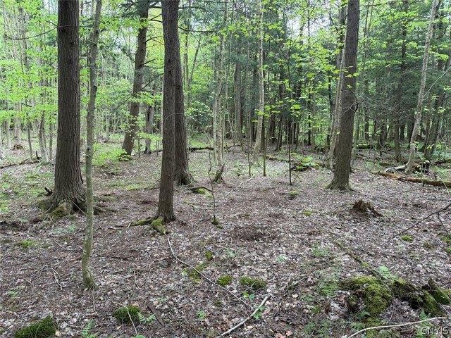 Land for sale in Dayton, New York