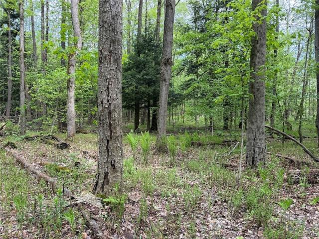 Land for sale in Leon, New York