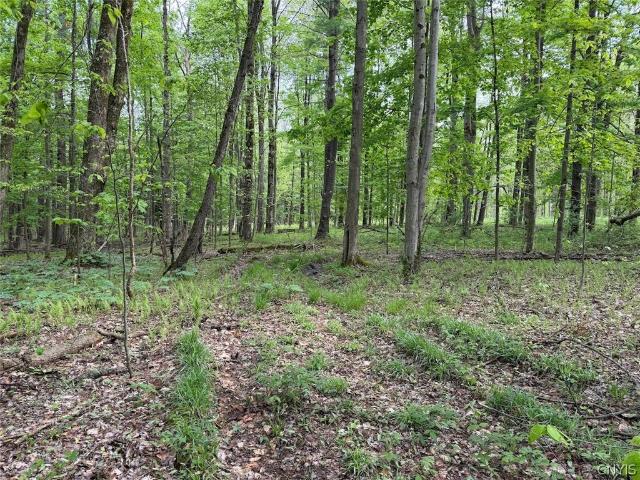 Land for sale in Leon, New York