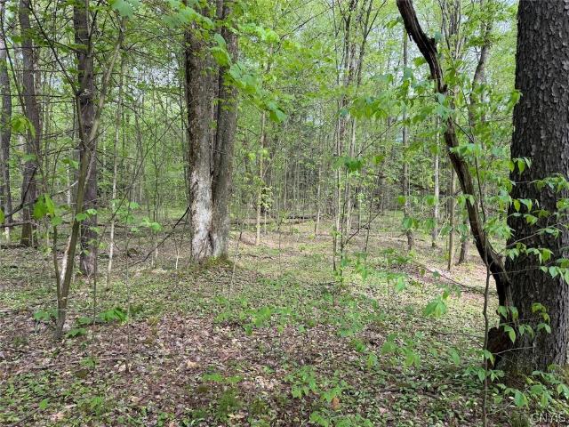 Land for sale in Town of Leon, Cattaraugus County