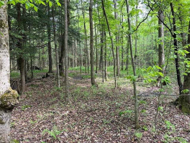 Land for sale in Leon, New York