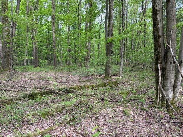 Land for sale in Leon, New York