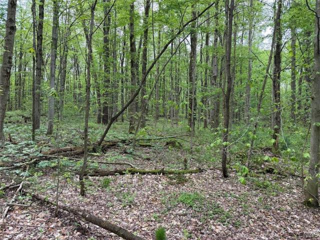 Land for sale in Leon, New York