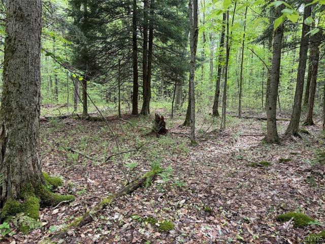 Land for sale in Leon, New York