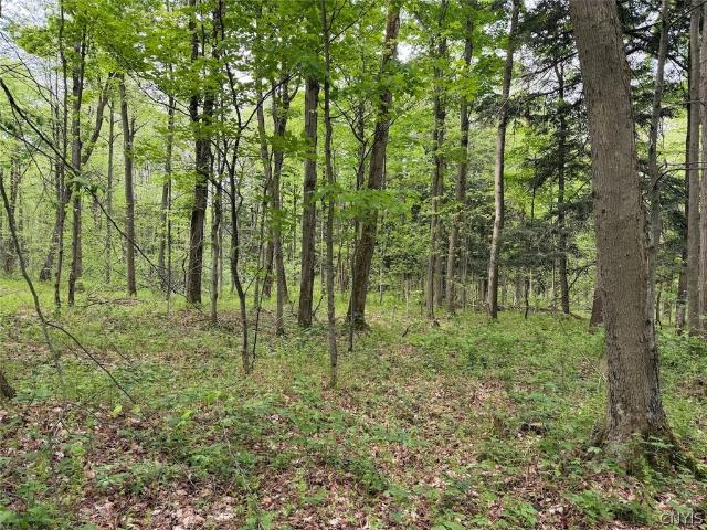 Land for sale in Leon, New York