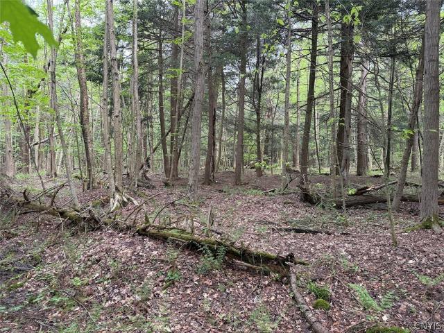Land for sale in Leon, New York