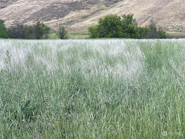 Land for sale in Dayton, Washington