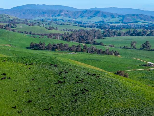 Property for sale in Murrindindi, Shire of Murrindindi