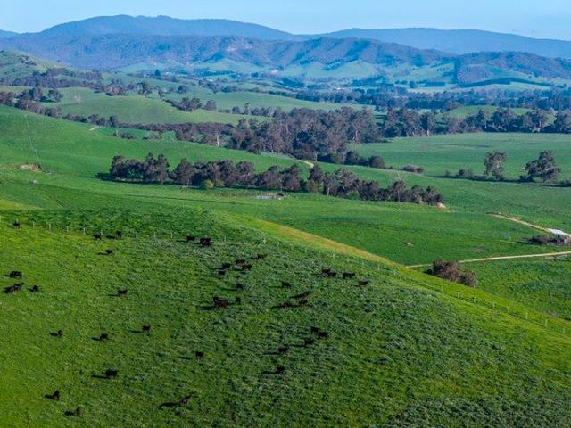 Cottage for sale in Murrindindi, Shire of Murrindindi