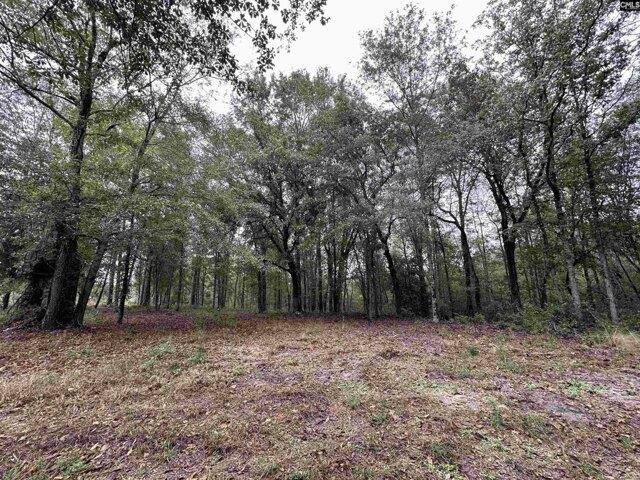 Land for sale in Pelion, South Carolina