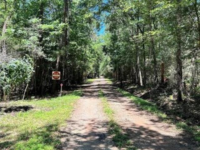 Land for sale in Magnolia, Texas