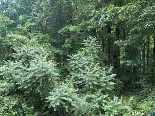 Land for sale in Clinton, Connecticut