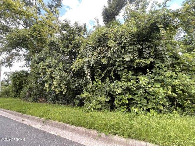 Land for sale in Marianna