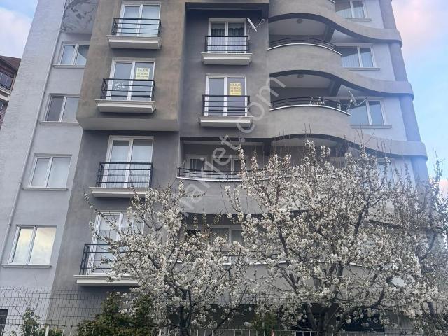 Tokat Merkez, Tokat içerisinde kiralık mülk