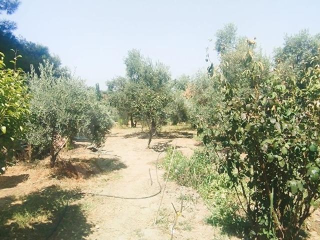 Kemalpaşa, İzmir içerisinde satılık Arsa