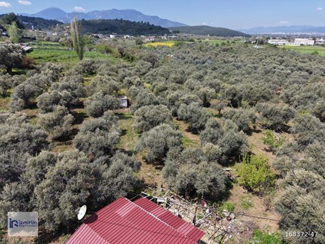 Kemalpaşa, İzmir içerisinde satılık Arsa