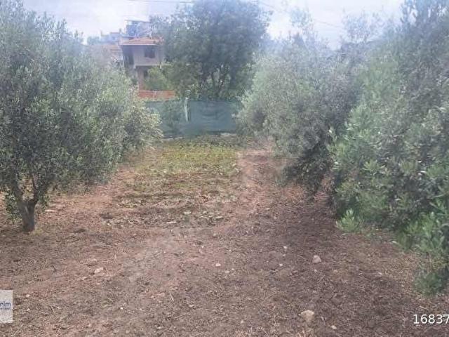Kemalpaşa, İzmir içerisinde satılık mülk