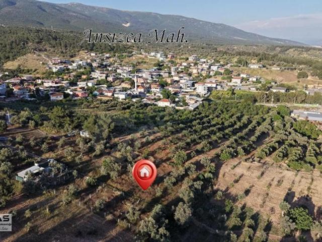 Ansızca Mahallesi, Kemalpaşa içerisinde satılık mülk